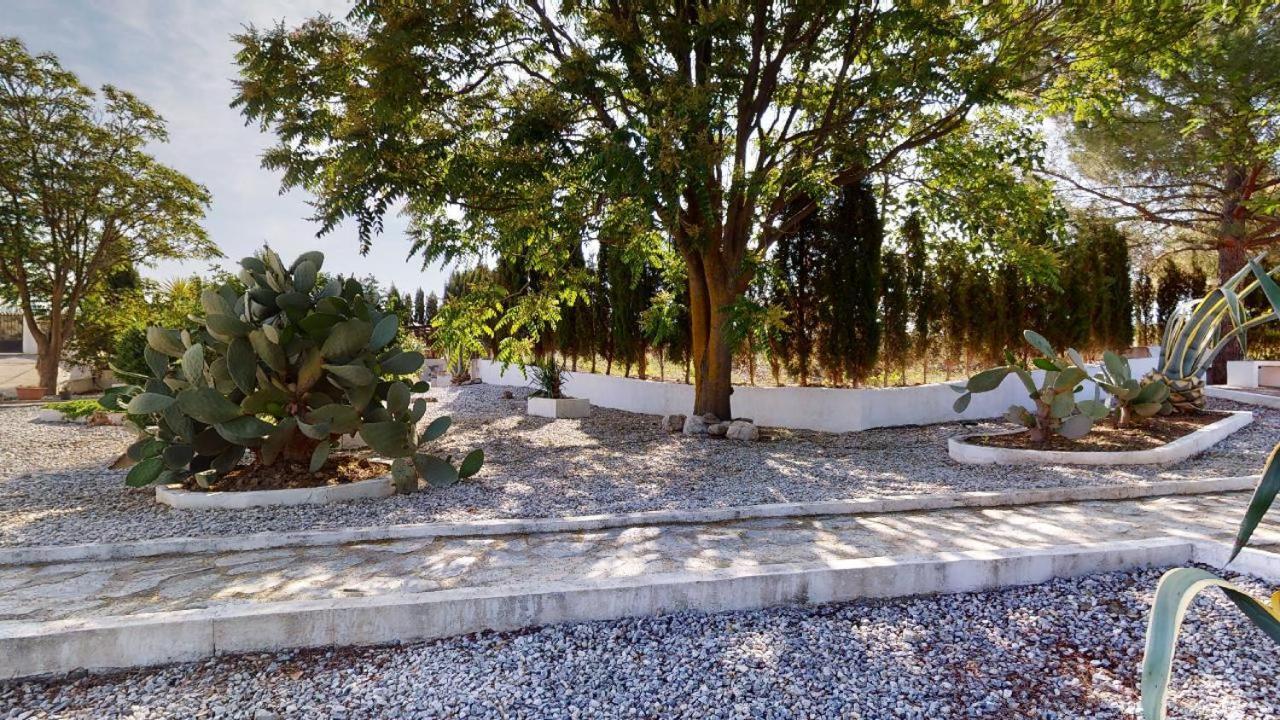 לינה וארוחת בוקר Caniles Casa Lucia מראה חיצוני תמונה